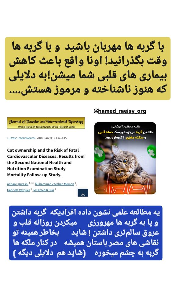  جدید ترین استوری اینستاگرام حامد رئیسی