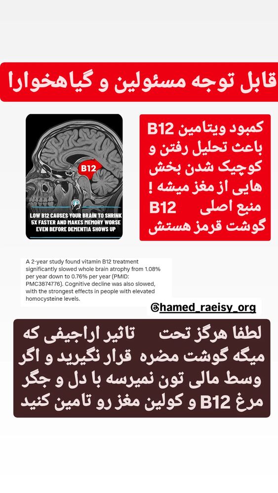  جدید ترین استوری اینستاگرام حامد رئیسی