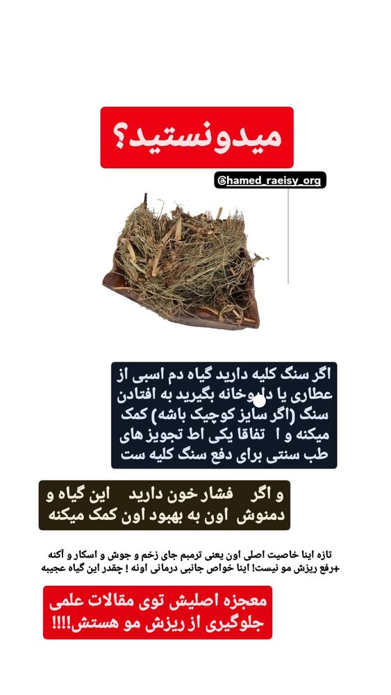  جدید ترین استوری اینستاگرام حامد رئیسی