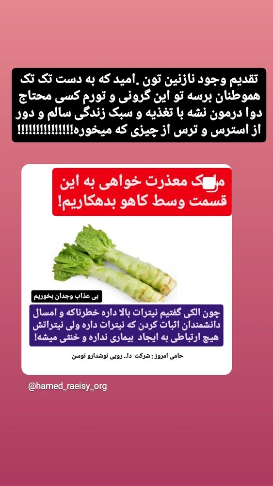  جدید ترین استوری اینستاگرام حامد رئیسی