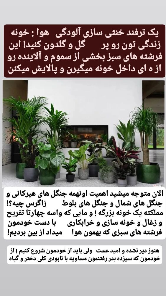  جدید ترین استوری اینستاگرام حامد رئیسی