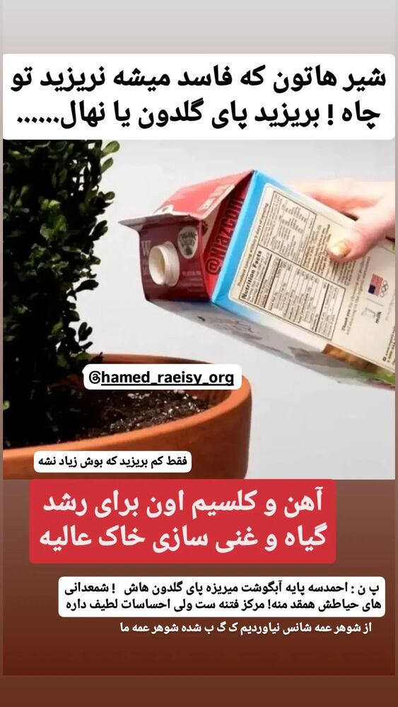  جدید ترین استوری اینستاگرام حامد رئیسی