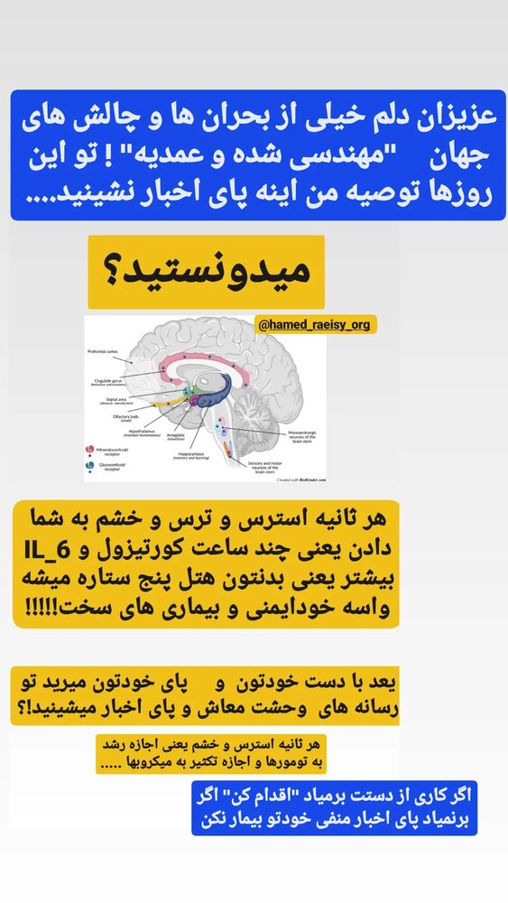  جدید ترین استوری اینستاگرام حامد رئیسی
