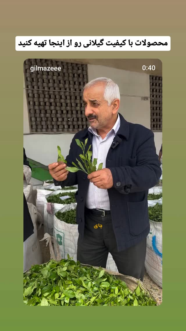  جدید ترین استوری اینستاگرام حامد گیلک