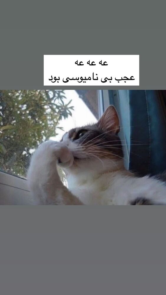  جدید ترین استوری اینستاگرام حامد گیلک