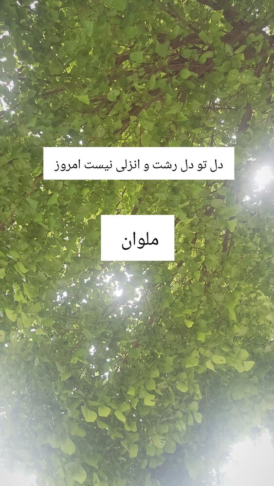 جدید ترین استوری اینستاگرام حامد گیلک