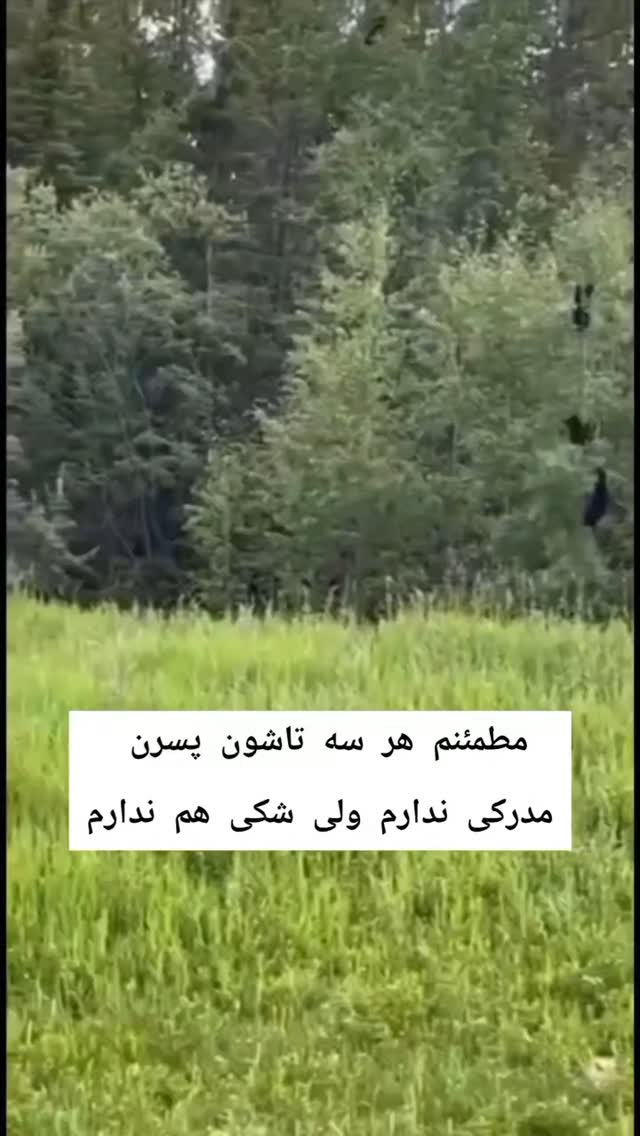  جدید ترین استوری اینستاگرام حامد گیلک