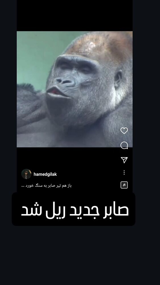  جدید ترین استوری اینستاگرام حامد گیلک