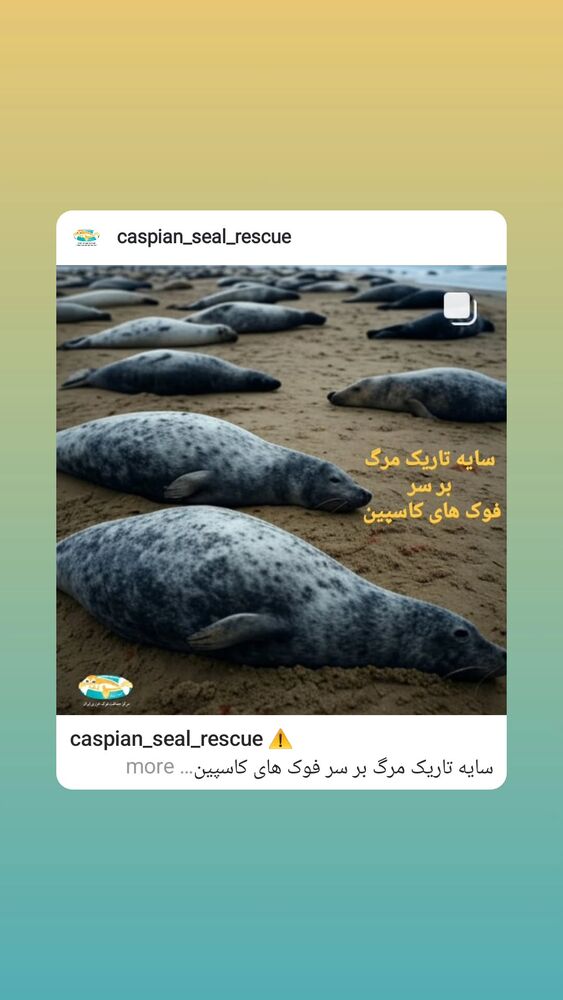  جدید ترین استوری اینستاگرام حامد گیلک