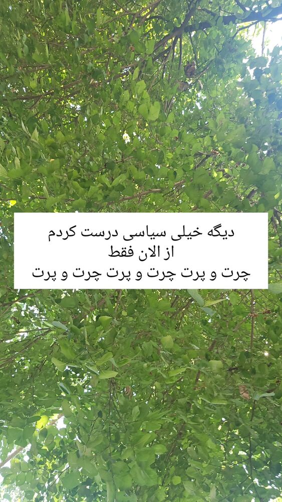  جدید ترین استوری اینستاگرام حامد گیلک