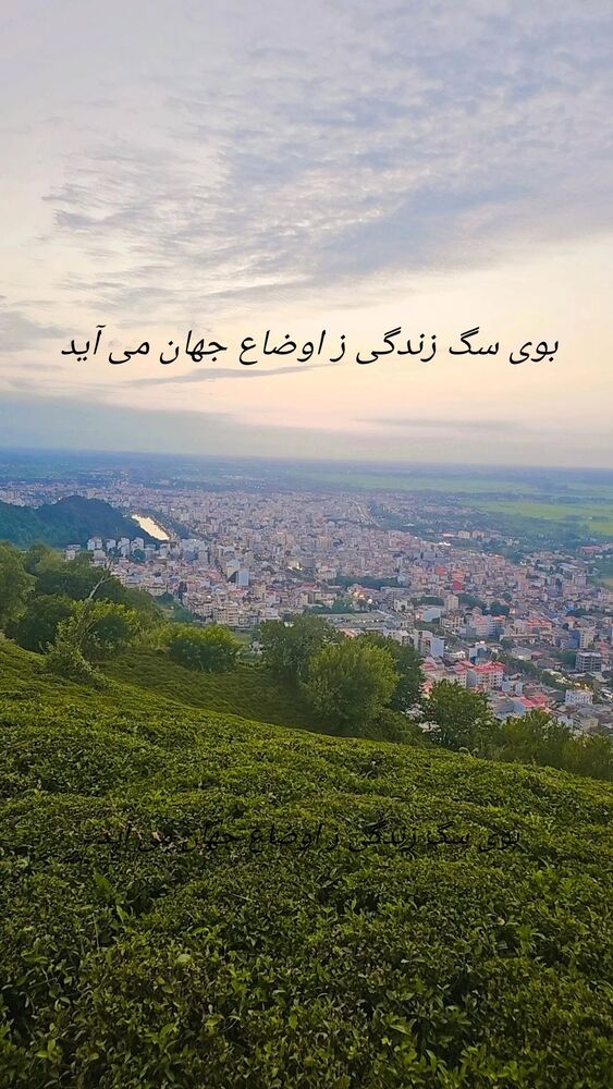  جدید ترین استوری اینستاگرام حامد گیلک
