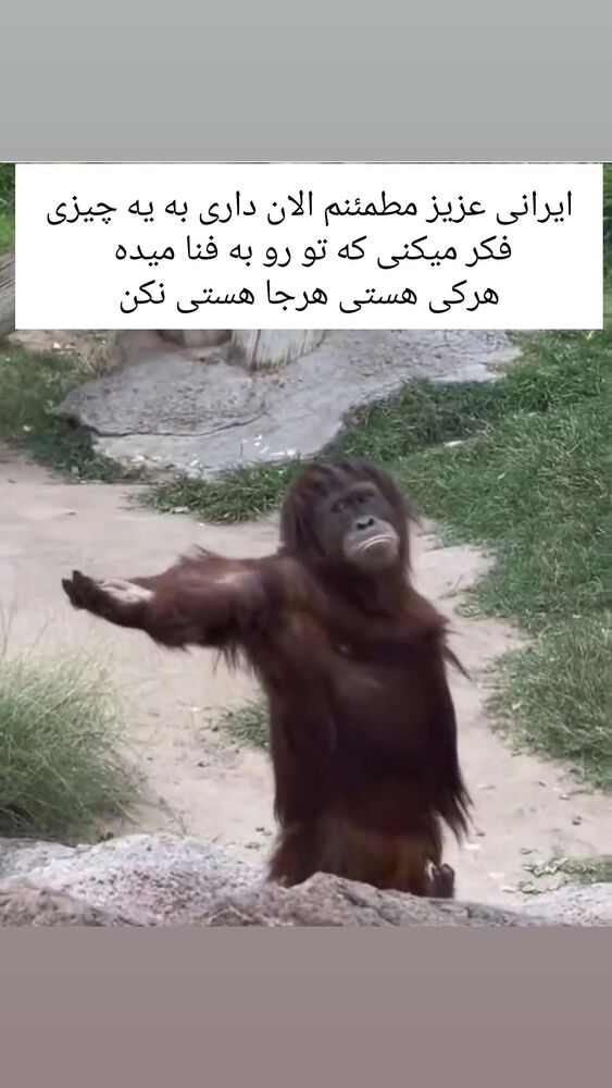  جدید ترین استوری اینستاگرام حامد گیلک