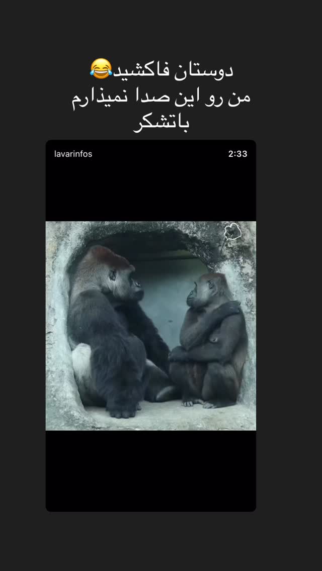  جدید ترین استوری اینستاگرام حامد گیلک