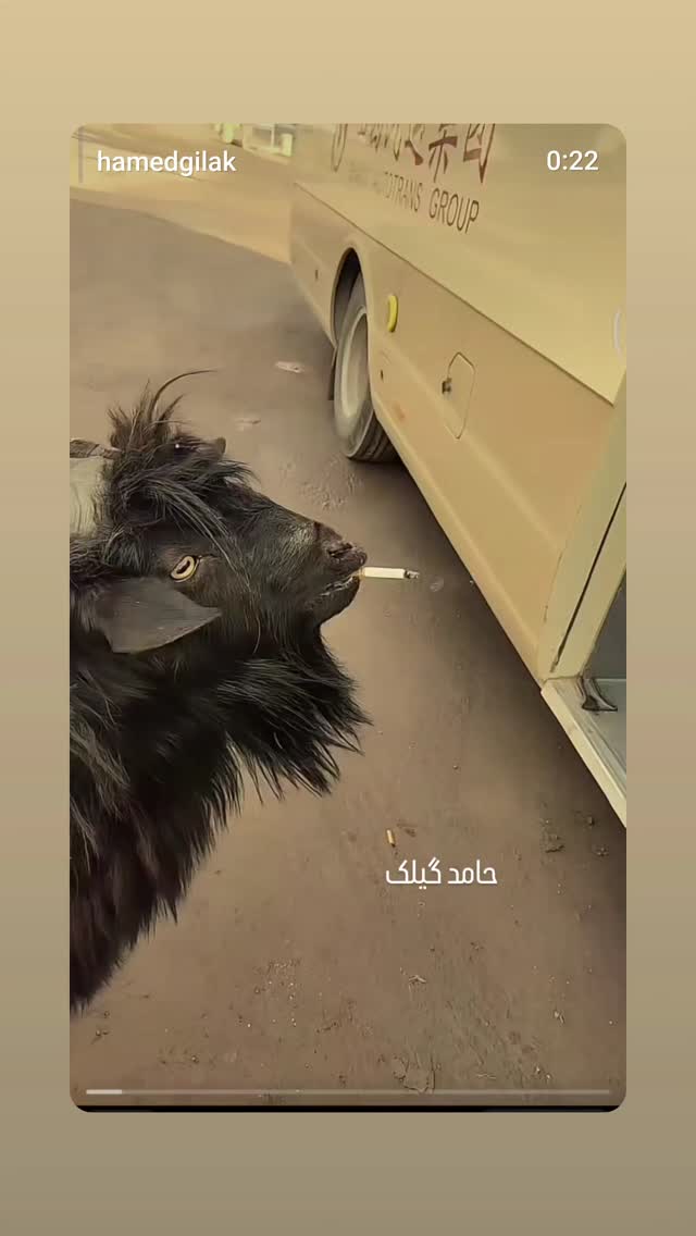  جدید ترین استوری اینستاگرام حامد گیلک