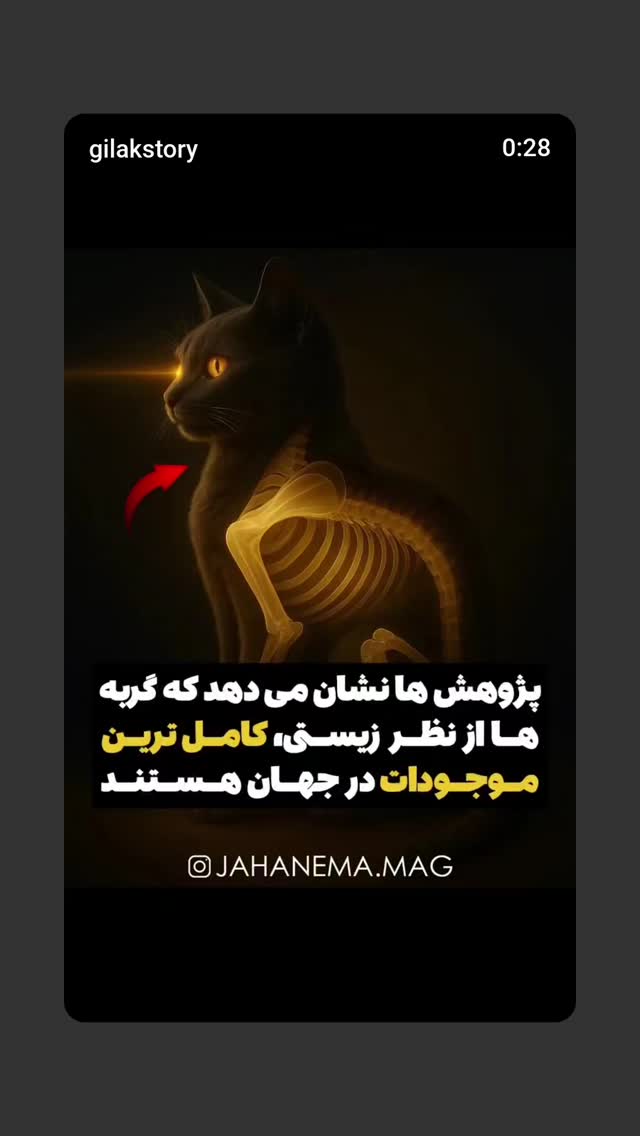  جدید ترین استوری اینستاگرام حامد گیلک