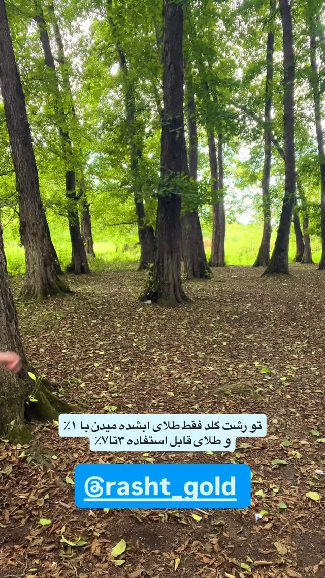  جدید ترین استوری اینستاگرام حامد خورسندی