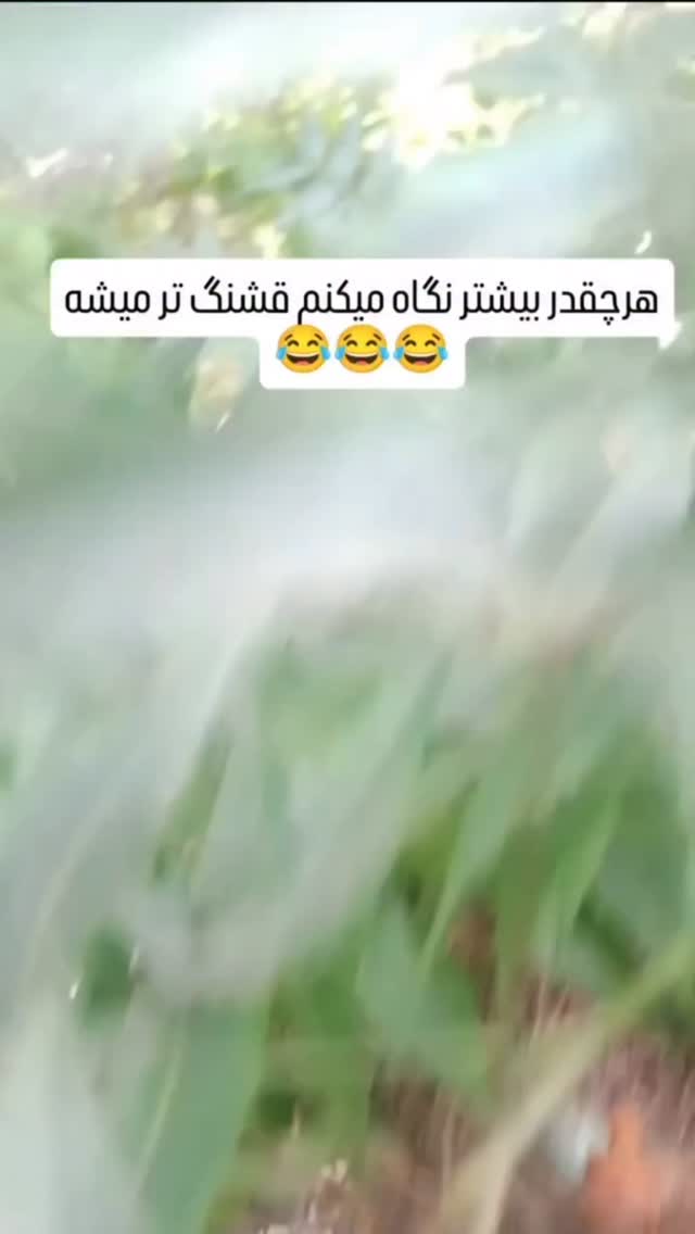  جدید ترین استوری اینستاگرام حامد خورسندی