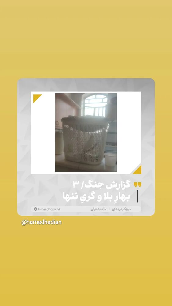  جدید ترین استوری اینستاگرام حامد هاديان