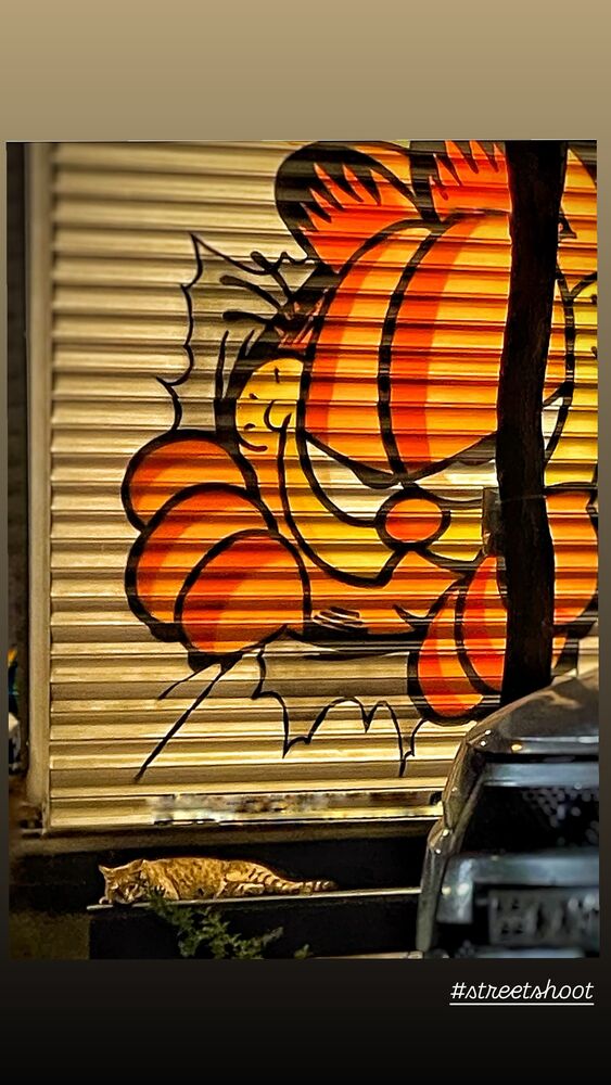  جدید ترین استوری اینستاگرام حامد کمیلی