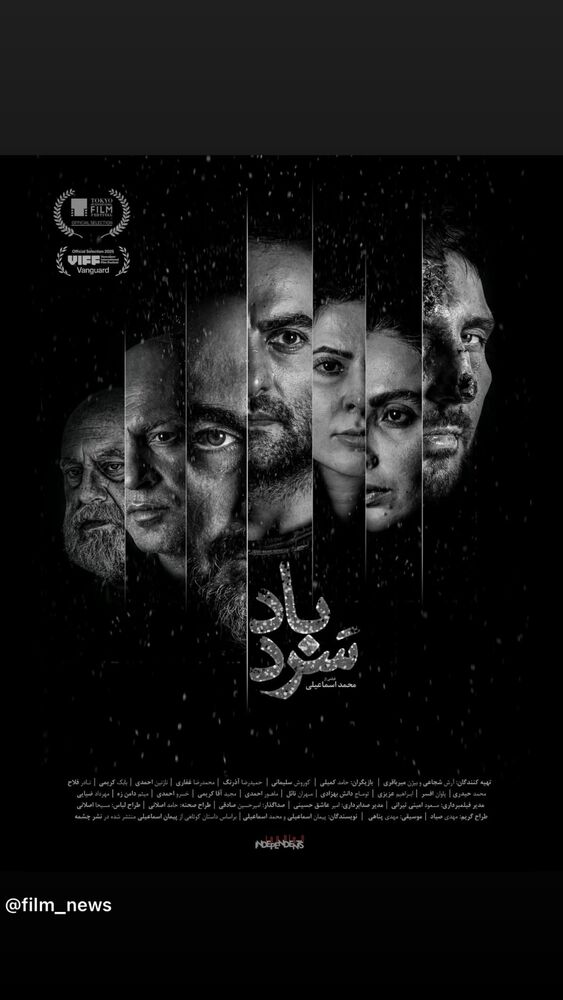  جدید ترین استوری اینستاگرام حامد کمیلی