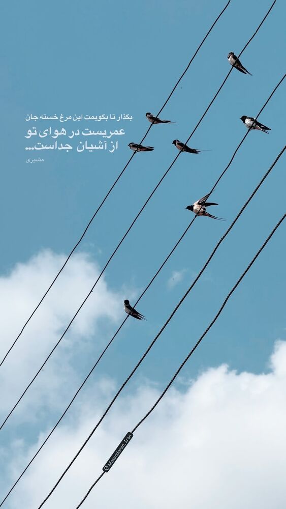  جدید ترین استوری اینستاگرام حامد سلطانی