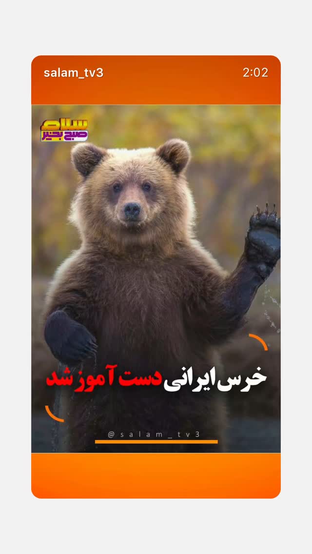  جدید ترین استوری اینستاگرام حامد سلطانی