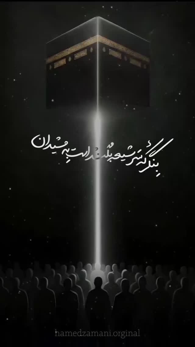  جدید ترین استوری اینستاگرام حامد زمانی