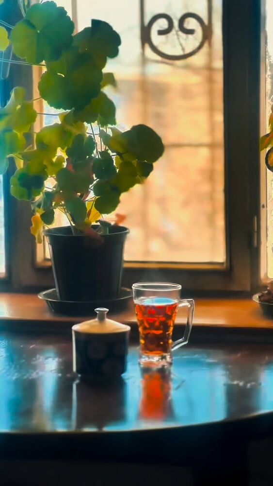  جدید ترین استوری اینستاگرام حمید شربتی