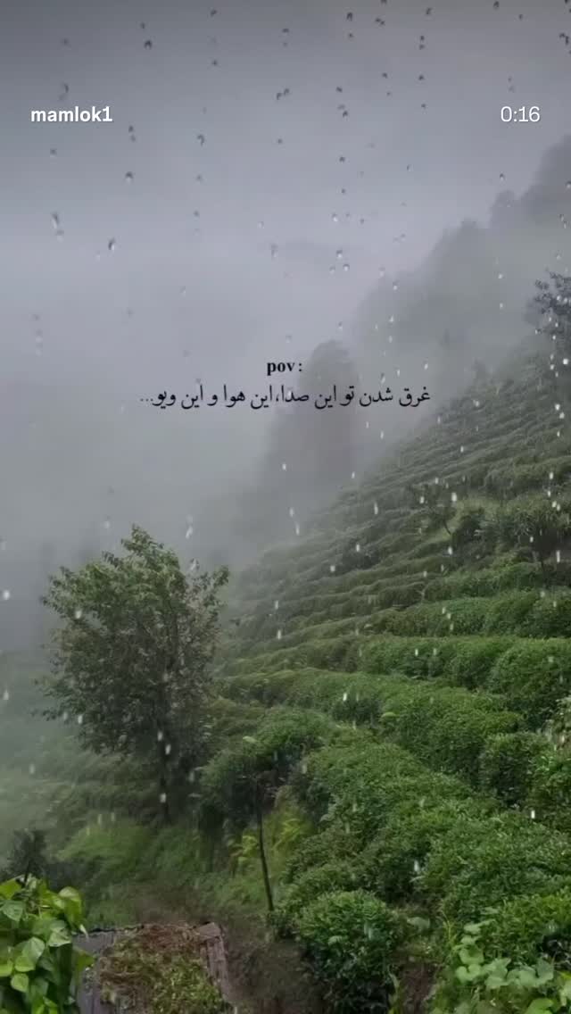  جدید ترین استوری اینستاگرام حمید فروغی