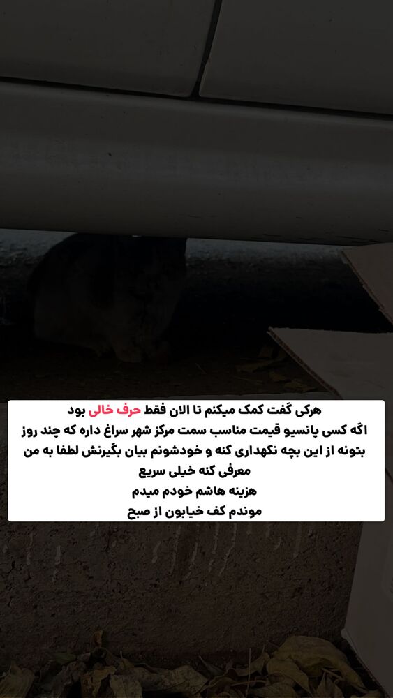  جدید ترین استوری اینستاگرام حمید آتشی