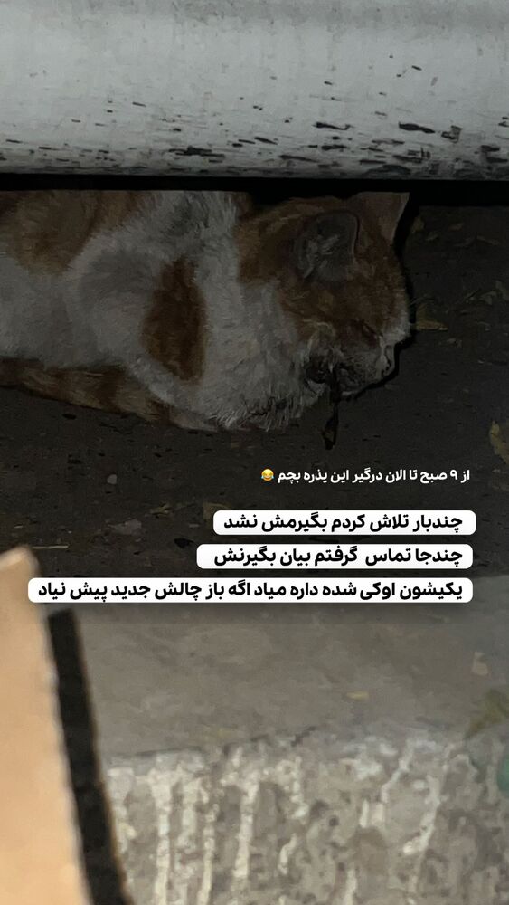  جدید ترین استوری اینستاگرام حمید آتشی