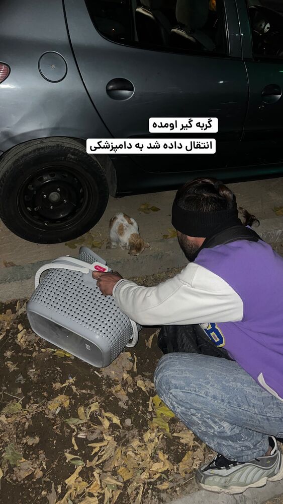  جدید ترین استوری اینستاگرام حمید آتشی