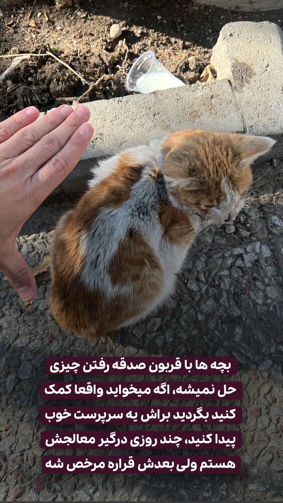  جدید ترین استوری اینستاگرام حمید آتشی