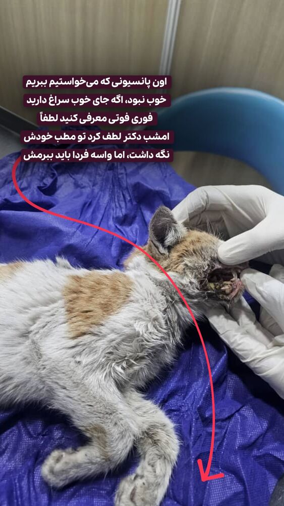  جدید ترین استوری اینستاگرام حمید آتشی