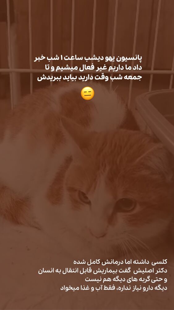  جدید ترین استوری اینستاگرام حمید آتشی
