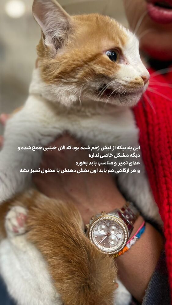  جدید ترین استوری اینستاگرام حمید آتشی