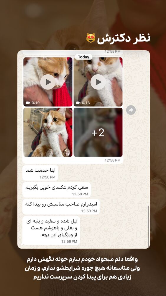  جدید ترین استوری اینستاگرام حمید آتشی