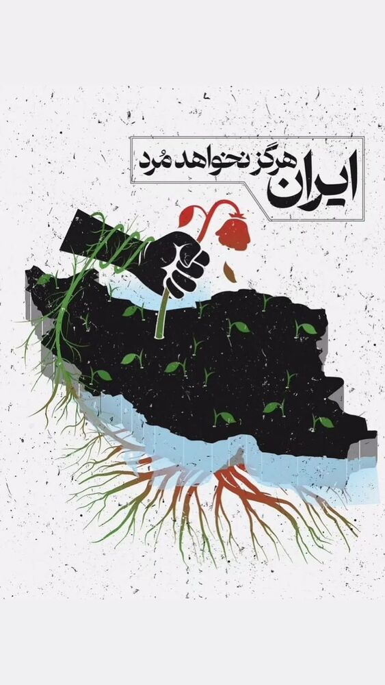  جدید ترین استوری اینستاگرام حمید گلی