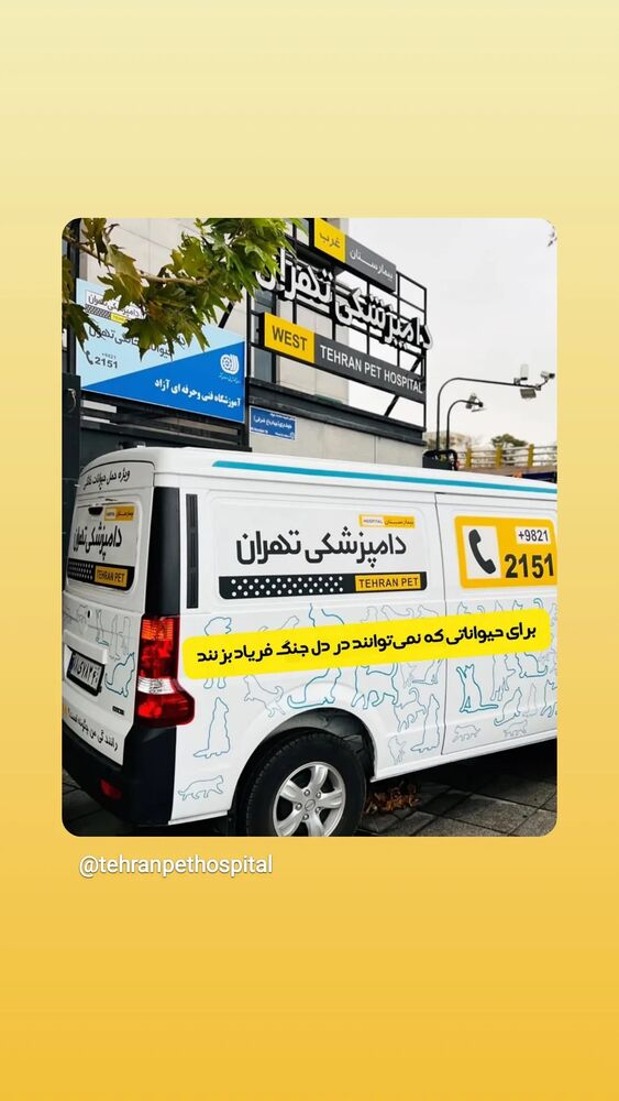  جدید ترین استوری اینستاگرام حمید گلی