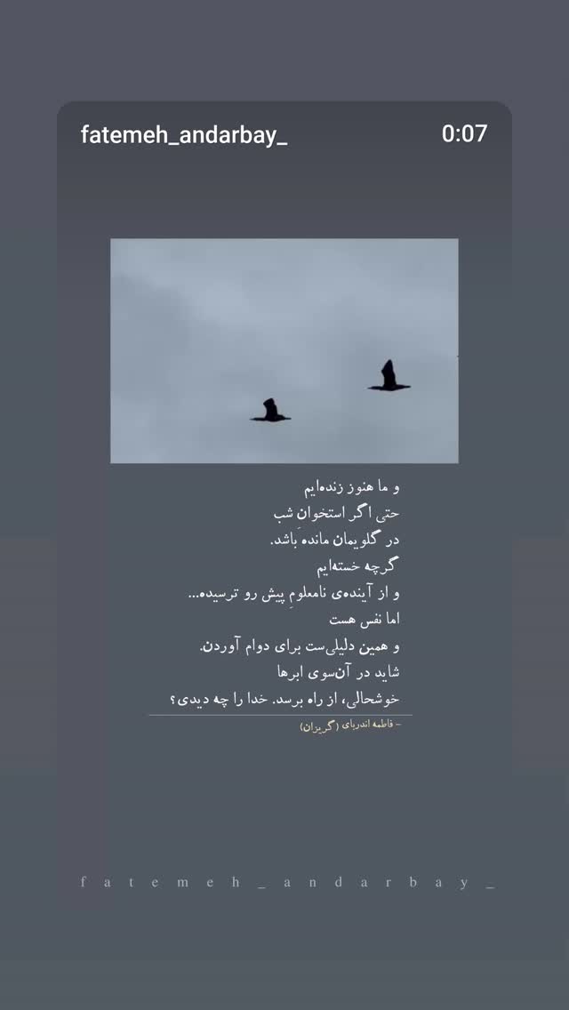  جدید ترین استوری اینستاگرام حمید گلی