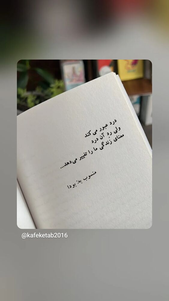  جدید ترین استوری اینستاگرام حمید گلی