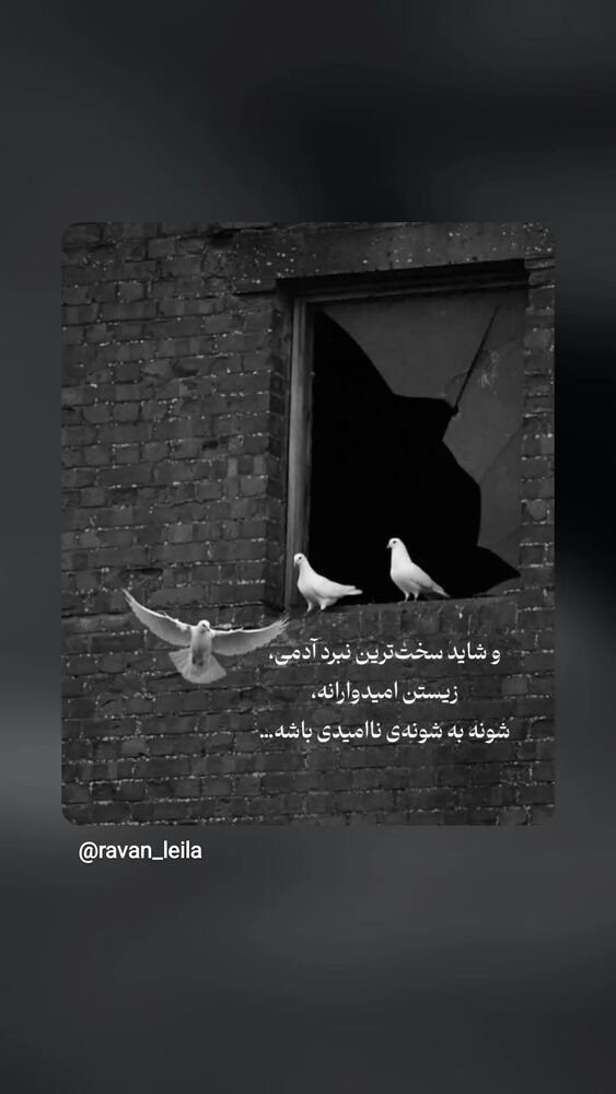  جدید ترین استوری اینستاگرام حمید گلی