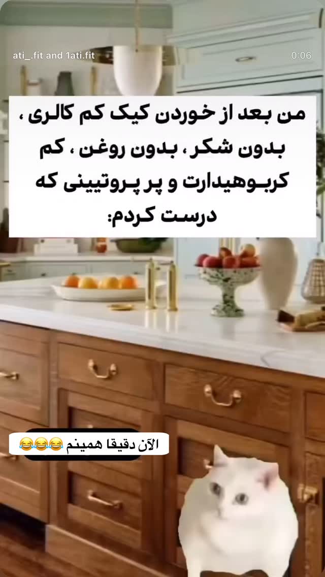  جدید ترین استوری اینستاگرام حمیده دانشور
