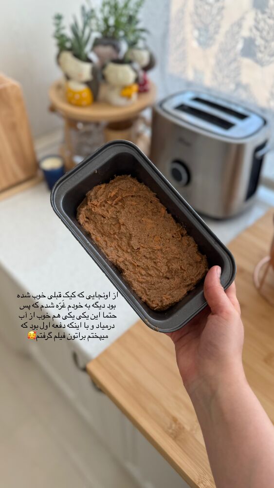  جدید ترین استوری اینستاگرام حمیده دانشور