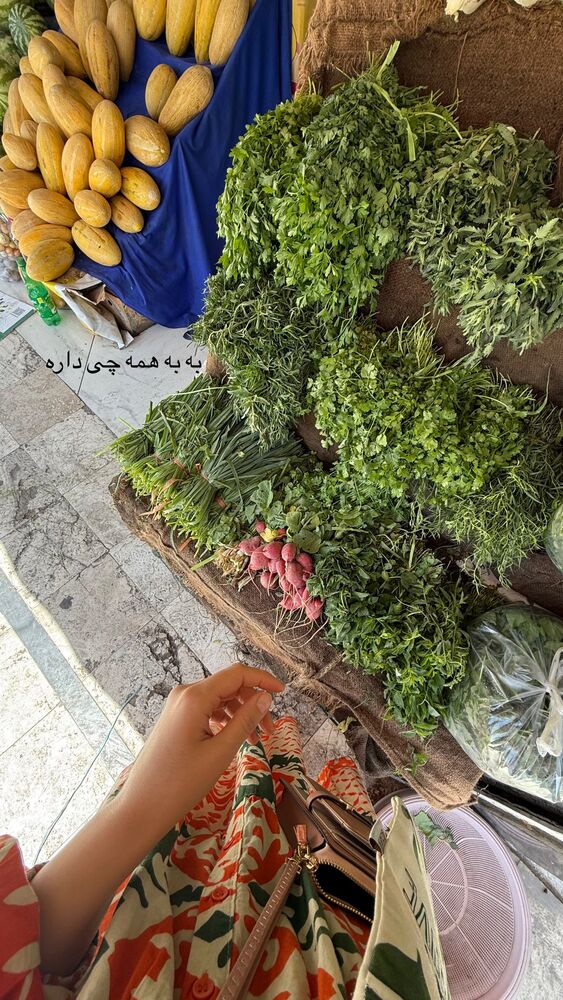  جدید ترین استوری اینستاگرام حمیده دانشور