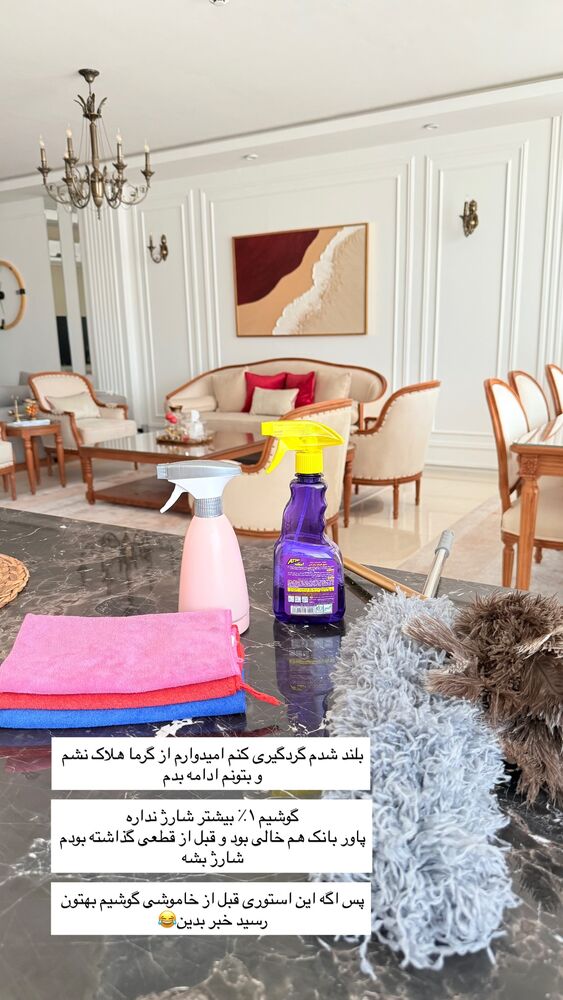  جدید ترین استوری اینستاگرام حمیده دانشور