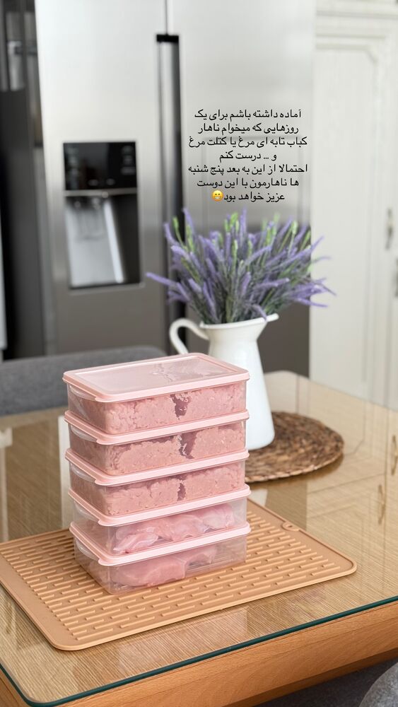  جدید ترین استوری اینستاگرام حمیده دانشور