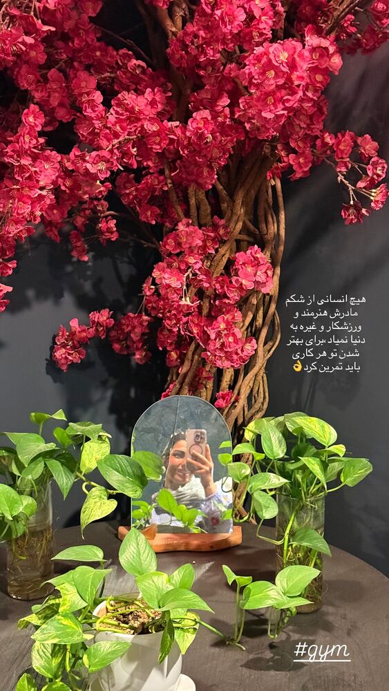  جدید ترین استوری اینستاگرام حمیده دانشور