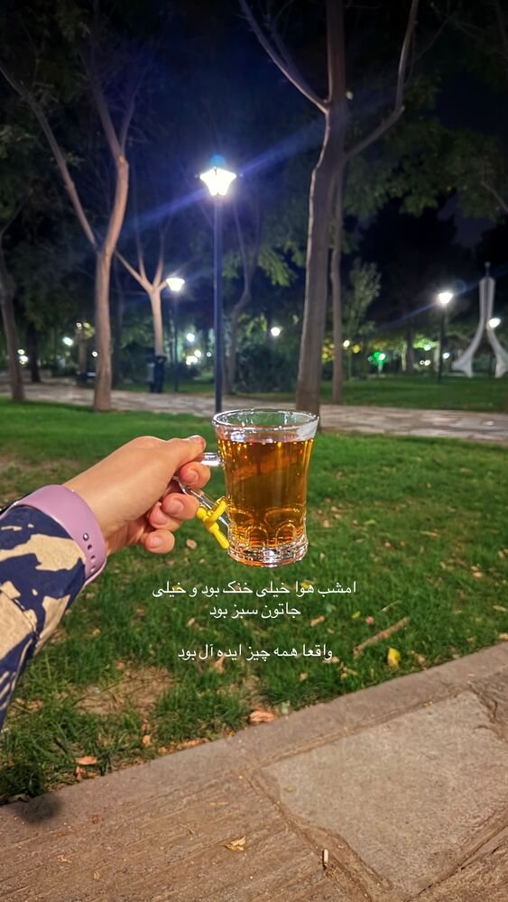  جدید ترین استوری اینستاگرام حمیده دانشور