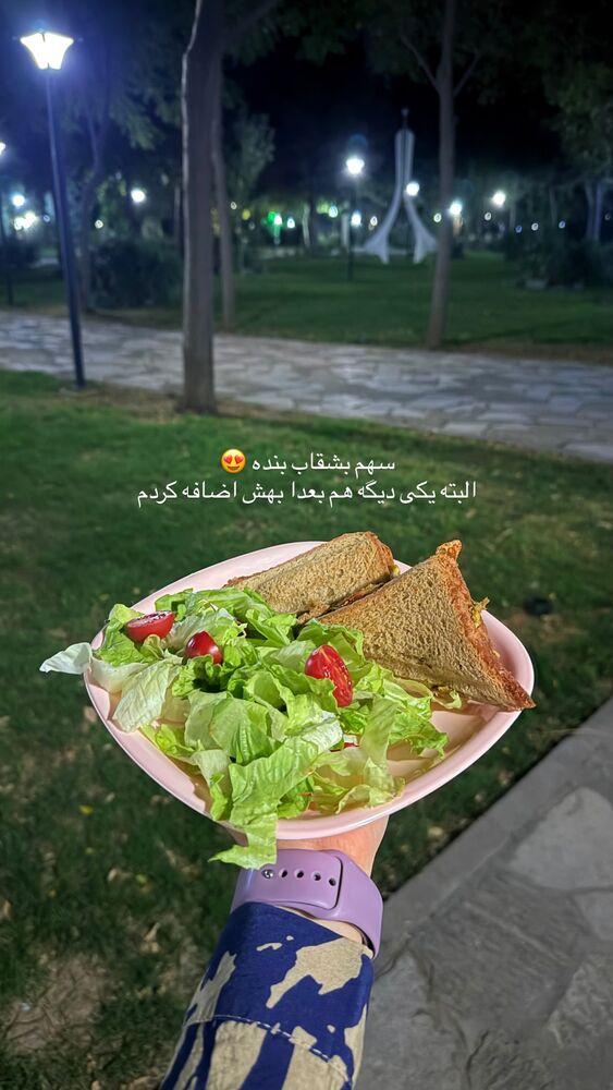  جدید ترین استوری اینستاگرام حمیده دانشور